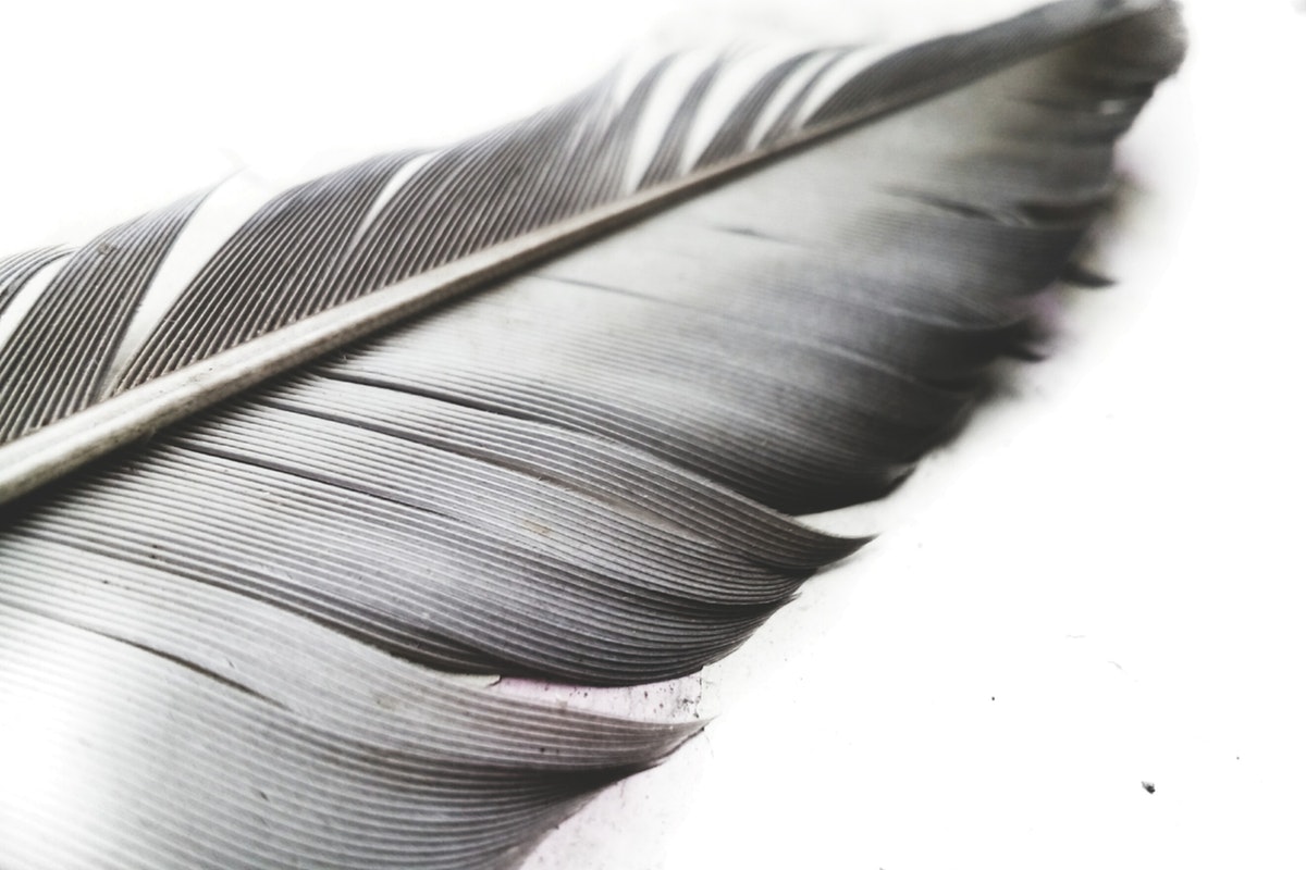 what do feathers symbolize in the Bible