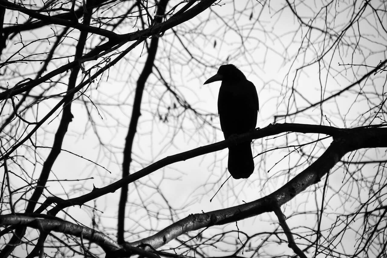 what do crows symbolize in the Bible