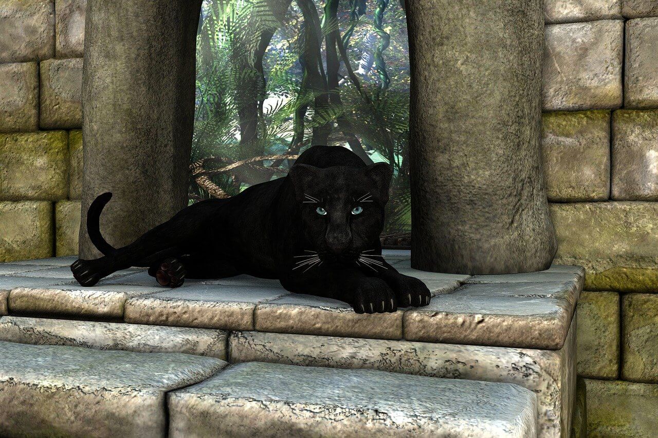 what does a black panther symbolize in the Bible