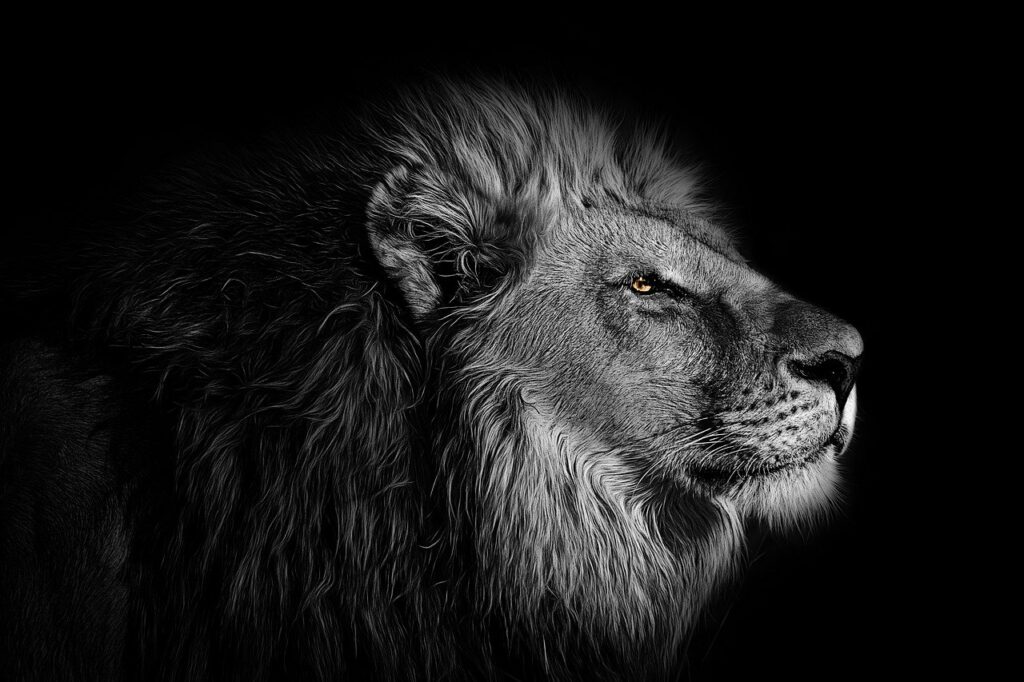 What Does A Lion Symbolize In The Bible? — Catholics & Bible