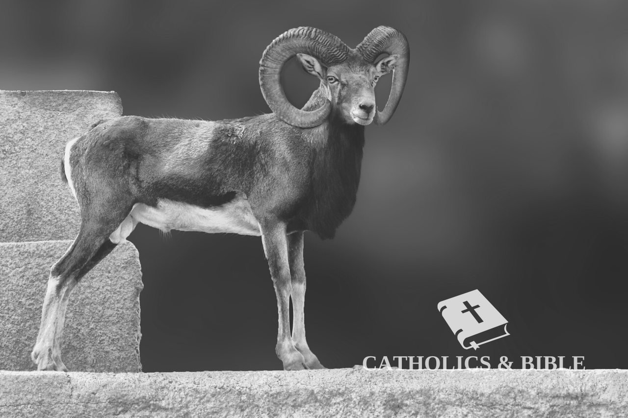 Symbolism of Rams In Sacrifices