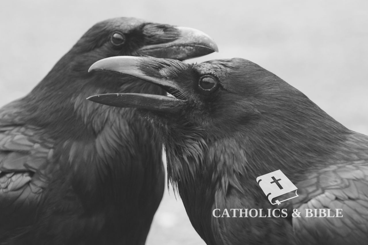 what do crows symbolize in the Bible